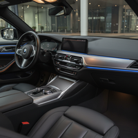 Iluminación Ambiente BMW G20 Symphony - kit completo