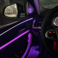 Detalle iluminación LED puertas BMW X3 G01