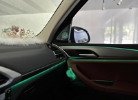 Iluminación ambiente salpicadero BMW X3 G01